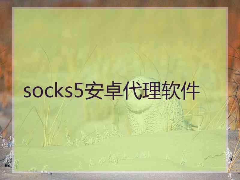 socks5安卓代理软件