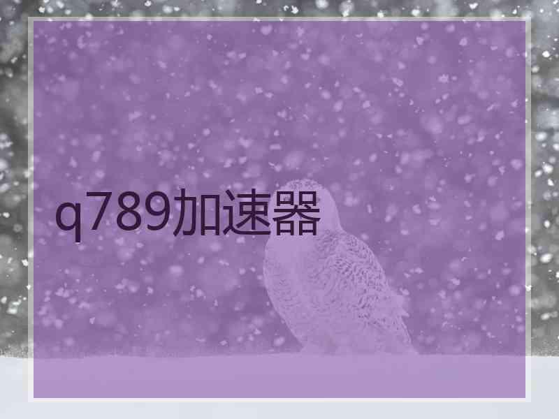 q789加速器