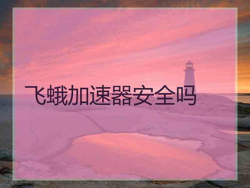 飞蛾加速器安全吗