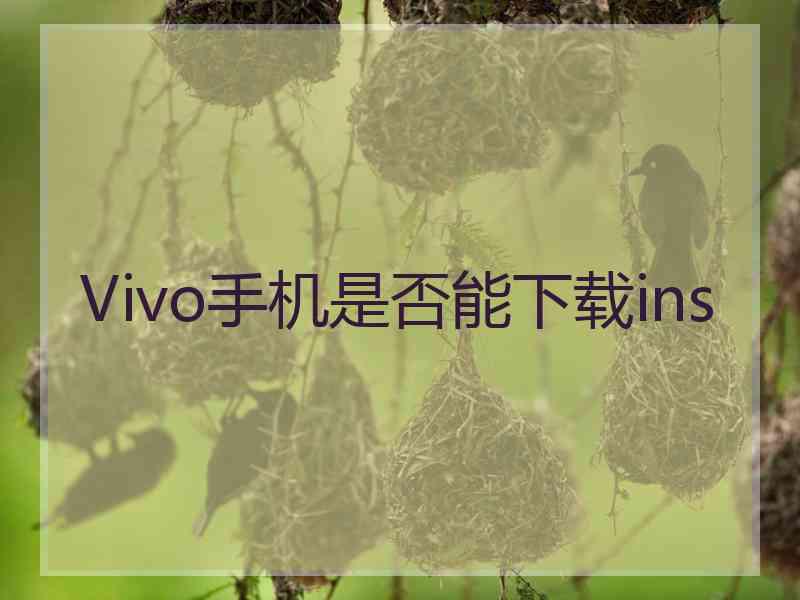 Vivo手机是否能下载ins