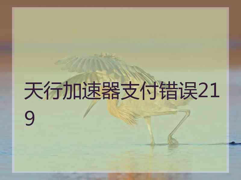 天行加速器支付错误219