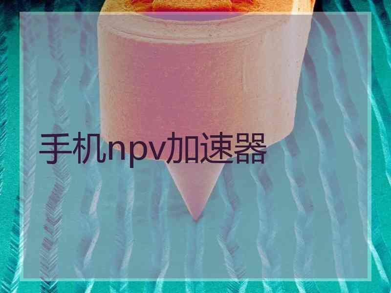 手机npv加速器