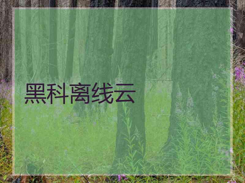 黑科离线云