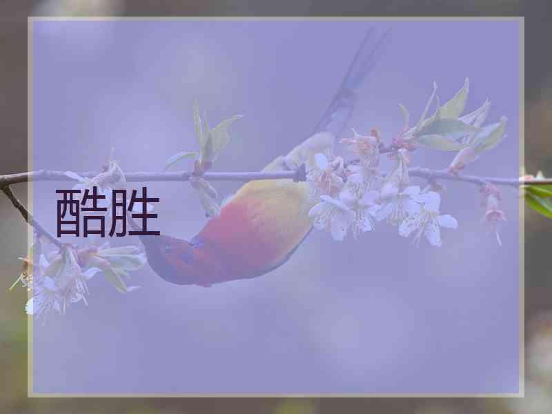 酷胜