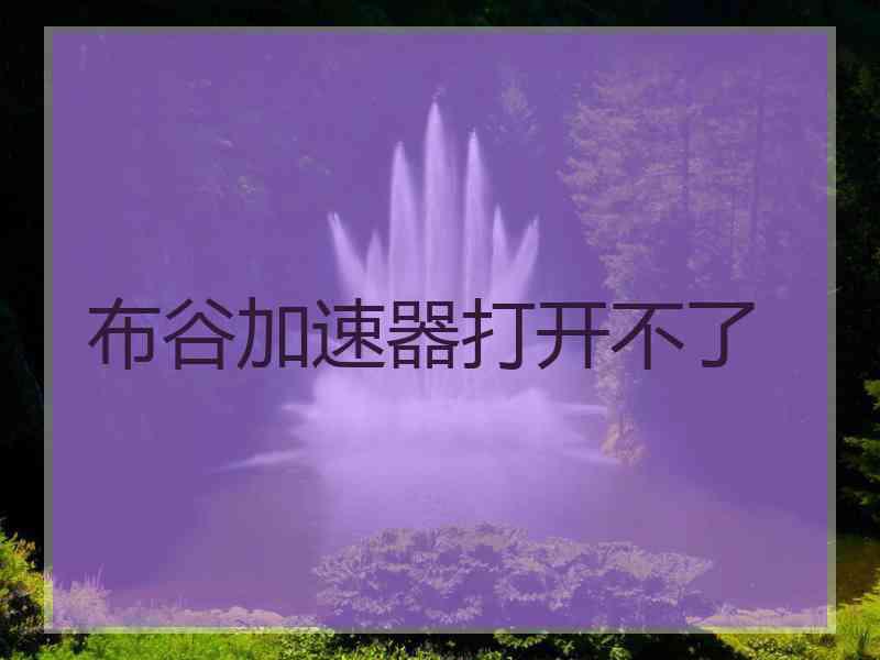 布谷加速器打开不了