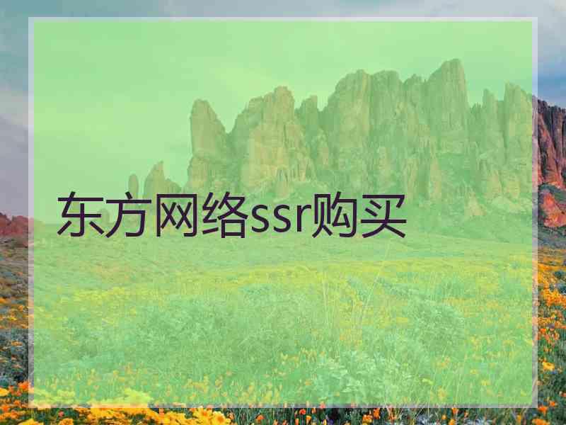 东方网络ssr购买