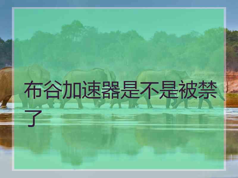 布谷加速器是不是被禁了