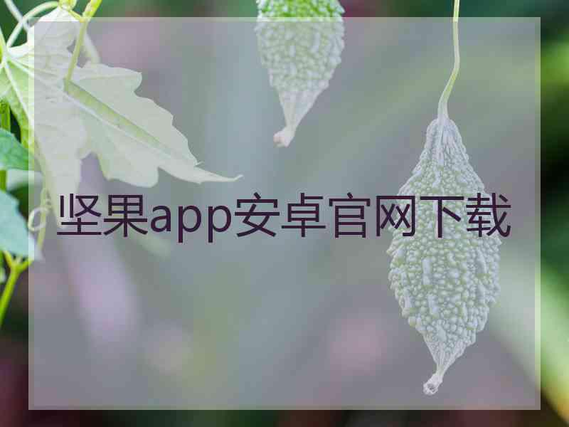 坚果app安卓官网下载