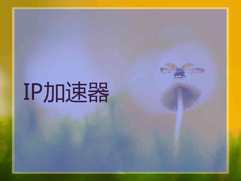 IP加速器