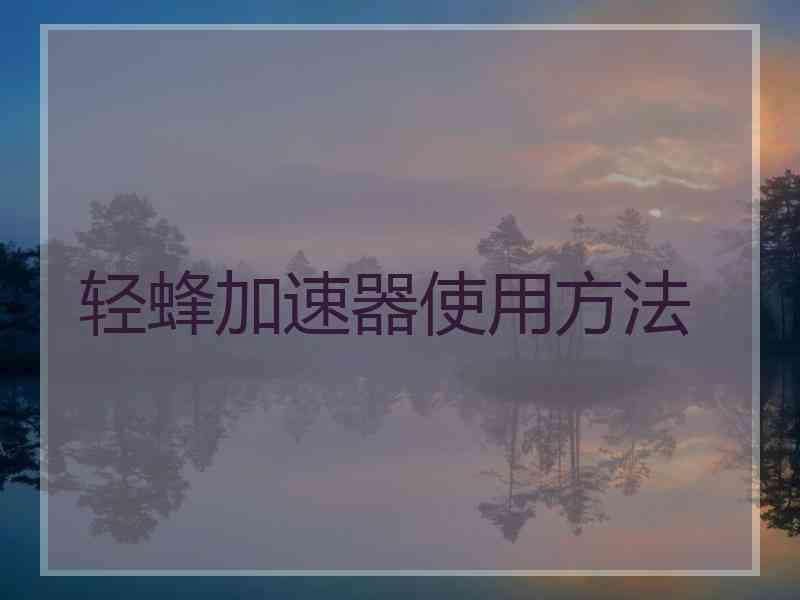 轻蜂加速器使用方法