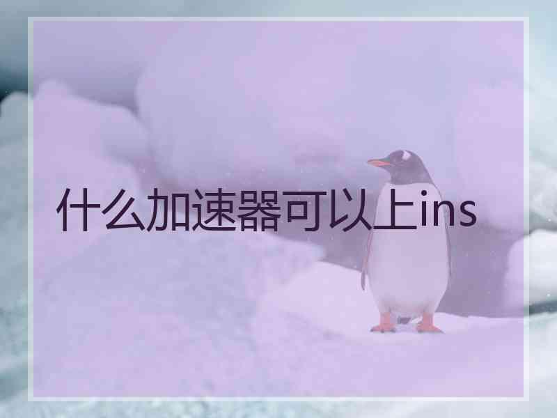 什么加速器可以上ins